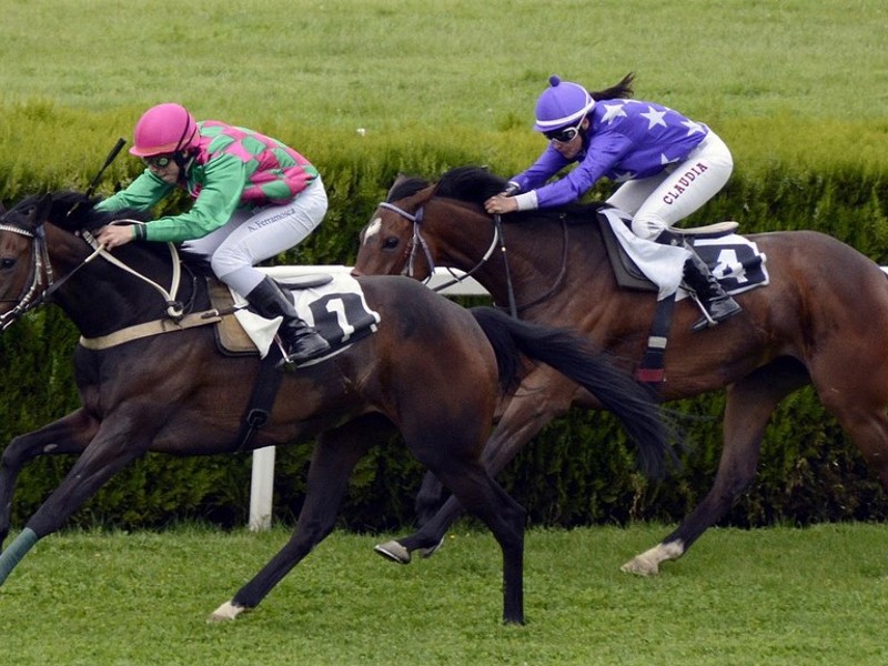 Chester: Come for the Races, Stay for Everything Else!